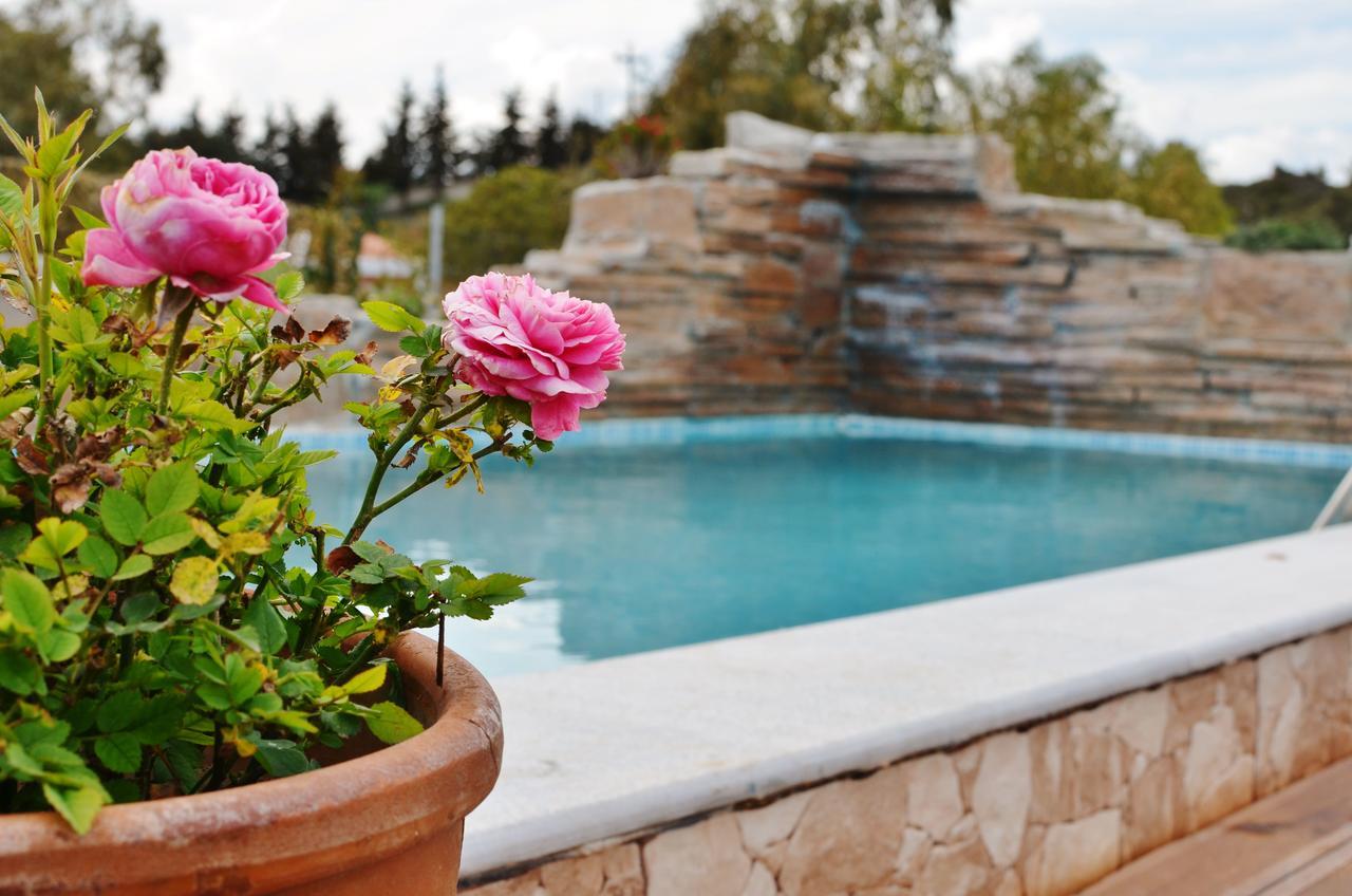 Natura House Ialysos  Dış mekan fotoğraf